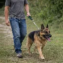 ChatGPT Image 19 ene 2026, 14_08_01.webp